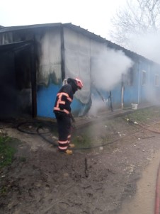 Konteyner Bir Anda Yandi