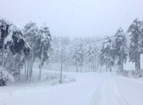 Meteoroloji Sari Kodla Uyardi, Yogun Kar Yagisi Bekleniyor