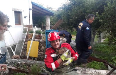 Mugla Büyüksehir Itfaiyesi 2021'De 6 Bin 492 Olaya Müdahale Etti