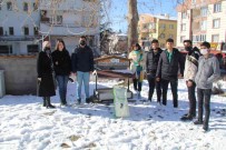 NEVÜ Ögrencileri Sokak Hayvanlarini Unutmadi