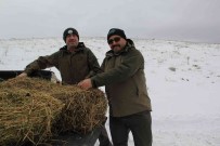 Olumsuz Hava Sartlarinda Yaban Hayvanlari Unutulmadi