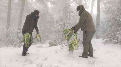 Pazar Artiklari Yaban Hayatina Yem Oldu