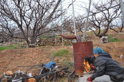 Türkiye'nin En Pahali Don Nöbeti
