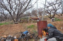 Türkiye'nin En Pahali Don Nöbeti