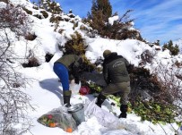 Van'da Firtinada Yaban Hayvanlari Unutulmadi