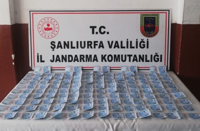 Viransehir'de 122 Adet Sahte 100 Liralik Banknot Ele Geçirildi