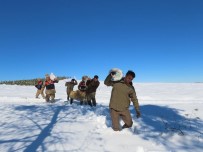 Yaban Hayvanlari Için Dogaya Yem Biraktilar