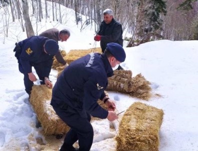 Yaban Hayvanlarinin Yemleri Jandarmadan