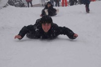 Yalova'da Kar Yagisi Etkili Oluyor