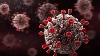 23 Ocak koronavirüs verileri açıklandı! İşte Kovid-19 hasta, vaka ve vefat sayılarında son durum