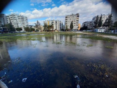 Adana'da Su Birikintileri Buz Tuttu