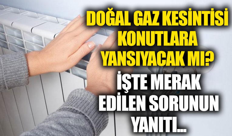 Doğal gaz kesintisi ile ilgili önemli açıklama: Konutlara yansıyacak mı?