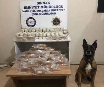 Tirin Zulasindaki 52 Kilo 639 Gram Eroini 'Stark' Buldu