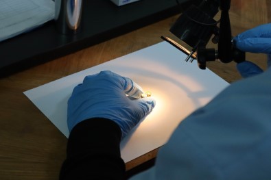 Adli Gerçekler Bu Laboratuvarda Ortaya Çikiyor