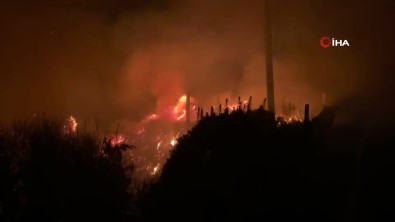 Colorado Yangininin Yüzde 35'I Kontrol Altinda