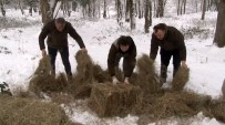 Ocak Ayi Içerisinde Yaban Hayvanlari Için Dogaya 15 Ton Yem Birakildi