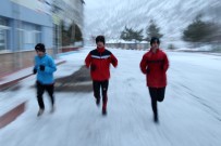 Tesadüfen Kesfedildi, Türkiye Sampiyonu Oldu