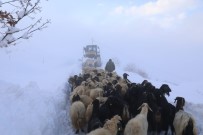 Beydagi'ni Asan Battalgazi Belediyesi Ekipleri, Üretici Ve Hayvanlarini Kardan Kurtardi Haberi