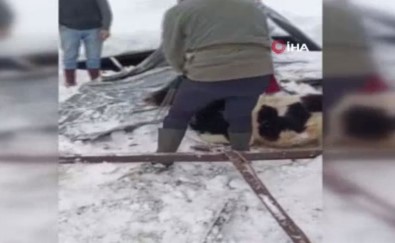 Kar Yagisindan Ahir Çöktü, Vatandaslar Yardima Kostu