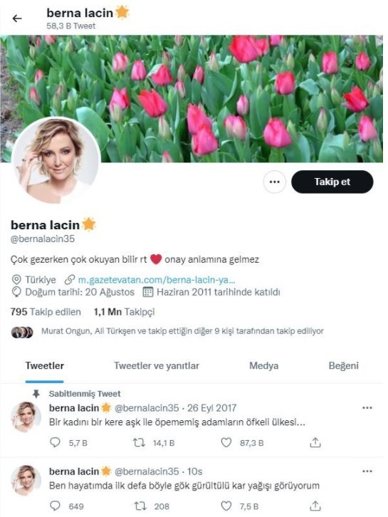 İstanbul'un kar hezimetinde CHP'nin trol ünlüleri rezalete tek kelime etmedi! Şahan Gökbakar, Tarkan, Cem Yılmaz, Berna Laçin...