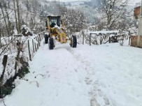 Fatsa'da Karla Mücadele Sürüyor