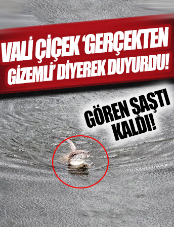 Gören şaşkına döndü! Vali Çicek sosyal medyadan 'gerçekten gizemli' notuyla paylaştı