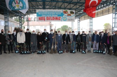 Manisali Üreticilere Yüzde 75 Hibe Destekli Meyve Fidani