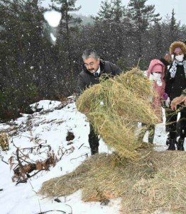 Yogun Kar Yagisinda Yaban Hayvanlari Unutulmadi