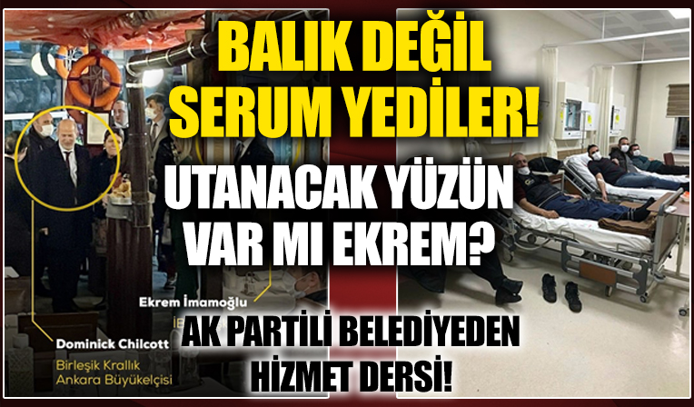 AK Partili belediyeden İmamoğlu'na hizmet dersi: Balık değil serum yediler!