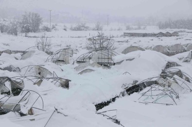 Amasya'da Yogun Kar Yagisi Seralari Yikti