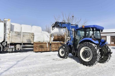 Ankara'da Yüzde 100 Hibe Hayvan Yem Destegi Basladi