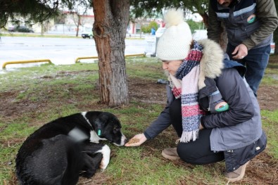 Baskan Demirtas Açiklamasi 'Can Tasiyan Her Varlik Bizim Için Degerlidir'