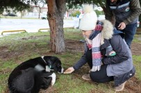 Baskan Demirtas Açiklamasi 'Can Tasiyan Her Varlik Bizim Için Degerlidir'