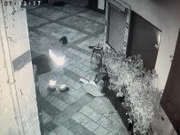 Bodrum'da Yürek Isitan Görüntü