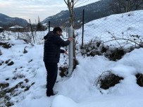 Borulardan Mama Kabi Yaparak Sokak Hayvanlarini Beslediler