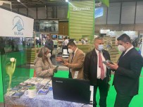 Bursa'dan Ispanya'da Turizm Atagi