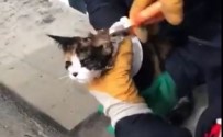 Sanliurfa'da Kedi Kurtarma Operasyonu