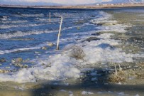 BURDUR GÖLÜ - Burdur Gölü köpürdü! Uzmanlar endişelendiren görüntünün nedenini açıkladı