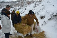 DKMP Ekipleri Protokol Üyeleriyle Yaban Hayvanlarina Yem Birakti