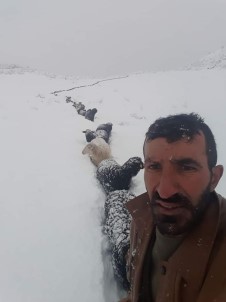 Kar Bastirinca Tek Sira Halinde Metrelerce Sahiplerini Takip Ettiler