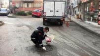 Osmangazi'de Haserelere Karsi Ilaçlama Haberi