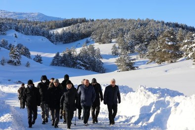 Yildirim, Dumanli Tabiat Parki'nda Yürüyüs Yaparak Devam Eden Çalismalari Yerinde Inceledi