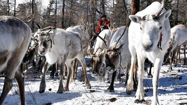 Kayıp Türk boyu Duha Türkleri! Dünyanın en ücra bölgelerinden birinde yaşıyorlar
