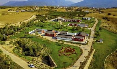 Büyüksehir 3 Yilda 50 Bin 576 Sokak Hayvanini Misafir Etti