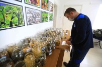 Türkiye'nin 80 Iline Yerel Tohum Dagitimi 1 Subat'ta Basliyor