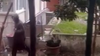 Avcilar'da Kentsel Dönüsüm Hirsizlari Kamerada