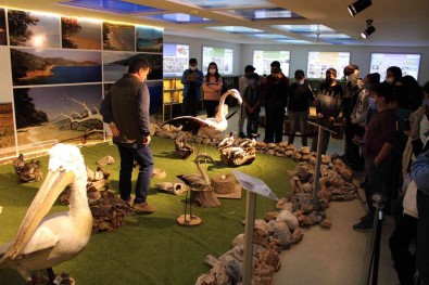 Doganin Savunuculari, Gençlere Yol Göstermeye Devam Ediyor