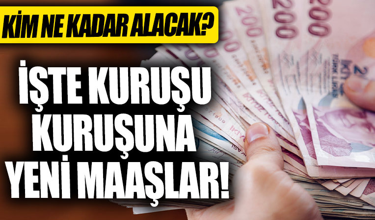 Memur ve emekli zammı için kritik veri geldi: Emekli ve memur maaş zammı 2022 ne kadar, kaç TL oldu?