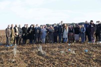 Troya Ören Yeri'ne Gelen Yerli Ve Yabanci Turistleri Lavanta Tarlalari Karsilayacak