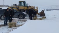 Askale'de Sokak Ve Yaban Hayvanlari Beslendi